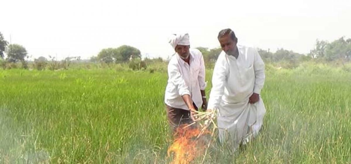 Nizamabad Paddy farmers facing immense hardships - The Hans India
