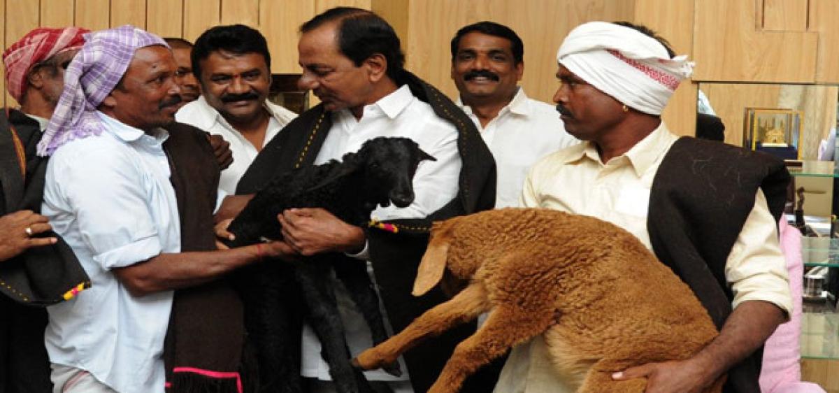 Image result for 4.	Sheep distributed under Telangana’s flagship scheme sold to Andhra Pradesh agents