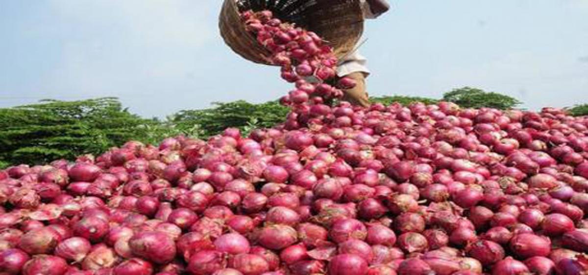 Onion still makes Kurnool farmers cry - The Hans India