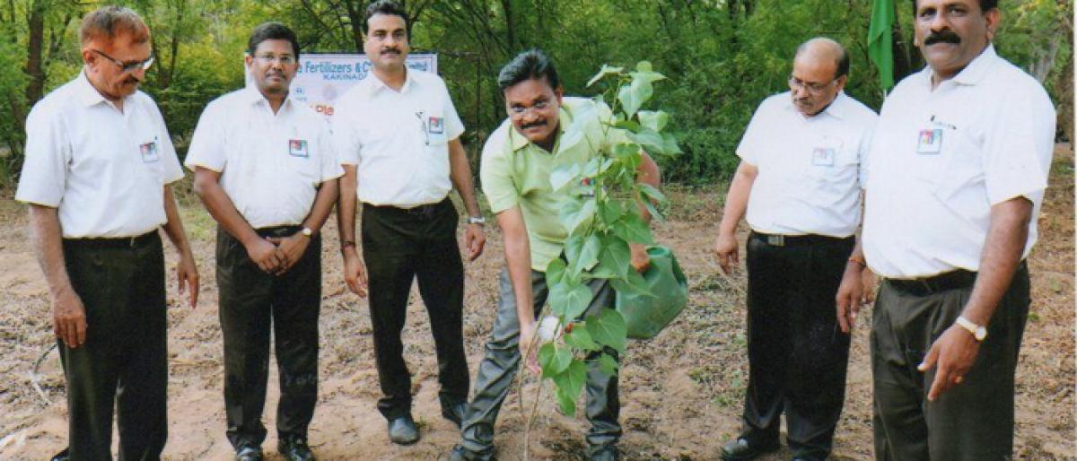 Plantation of saplings taken up at NFCL as part of Environment Week celebrations