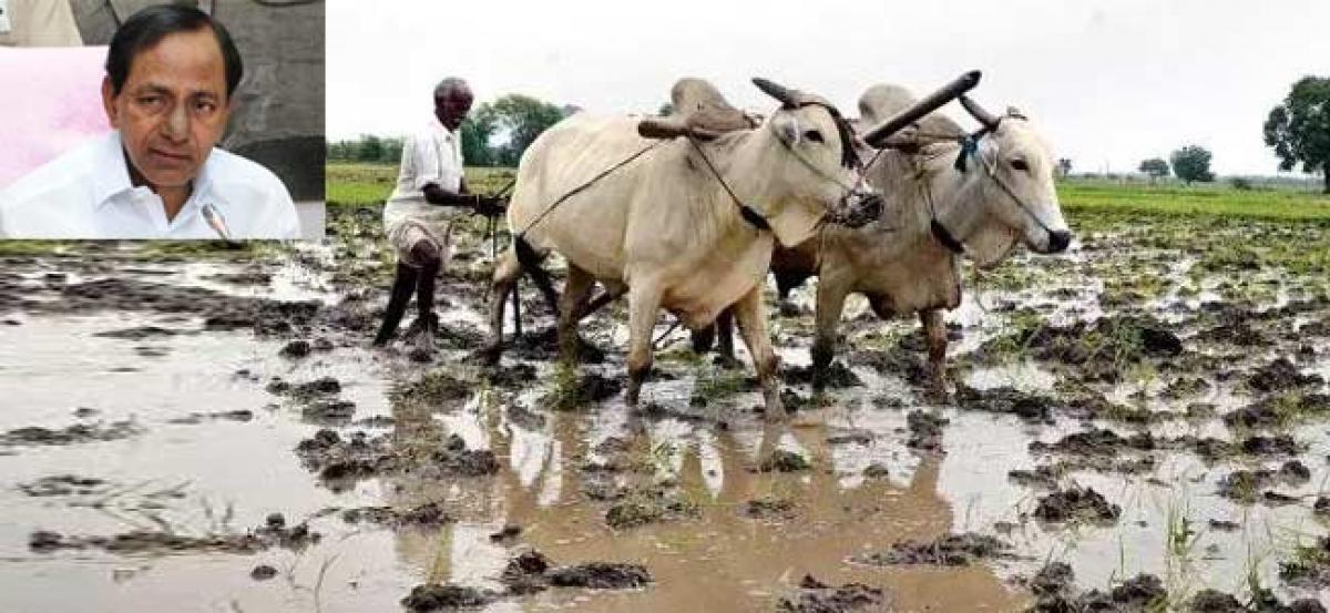 Image result for Rythu Bandhu Scheme launched for Telangana farmers
