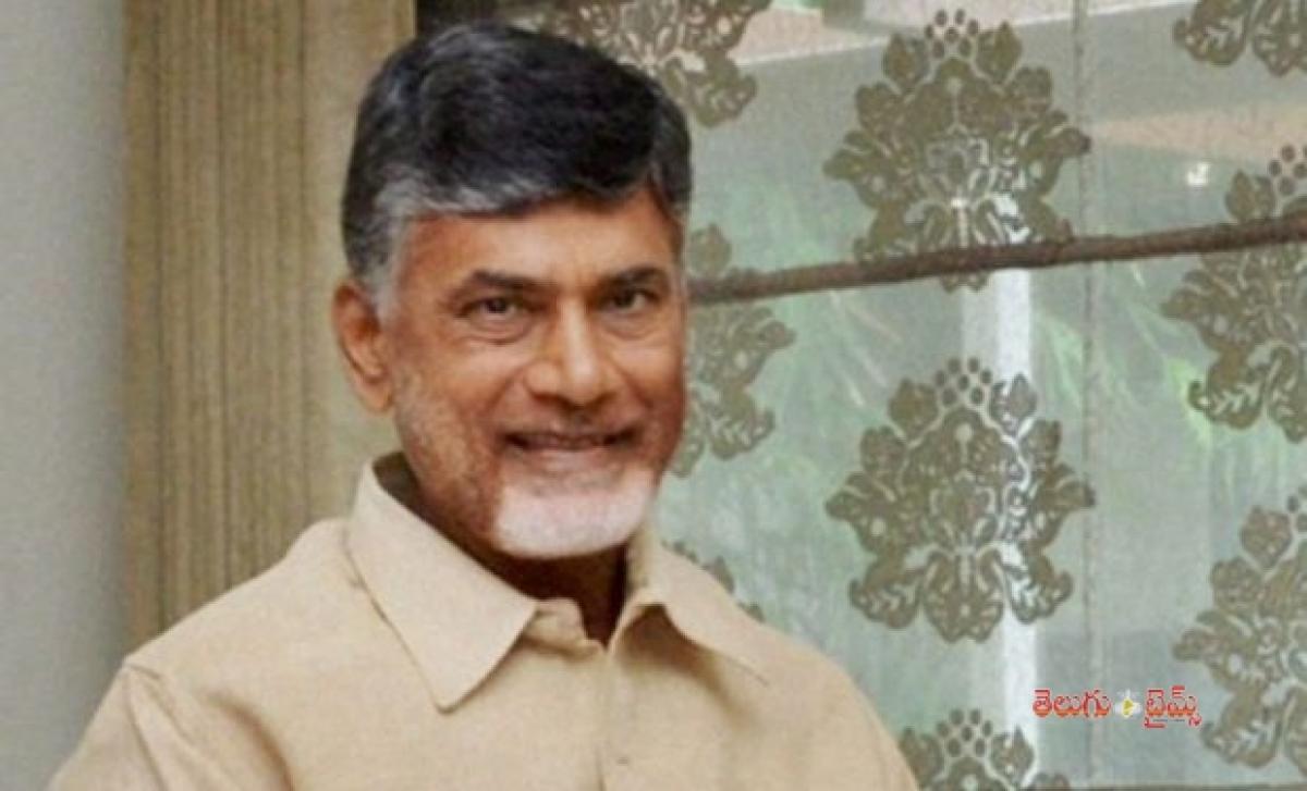TDP President N Chandrababu Naidu to Have Two Deputy Chief Ministers; Kapus, BCs to Get 1 Each