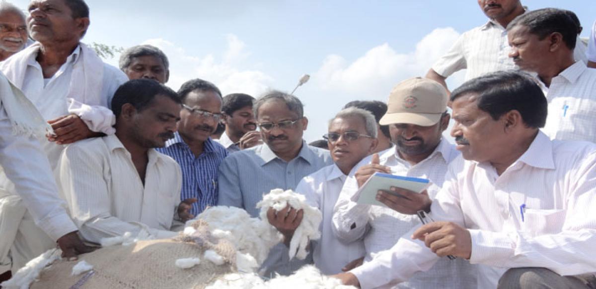 Cotton farmers with their produce at the Enumamula Market Yard in Warangal