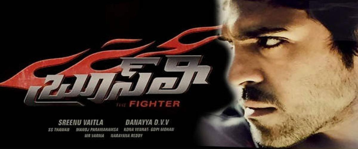 Charan's Bruce Lee-The Fighter Review, Rating