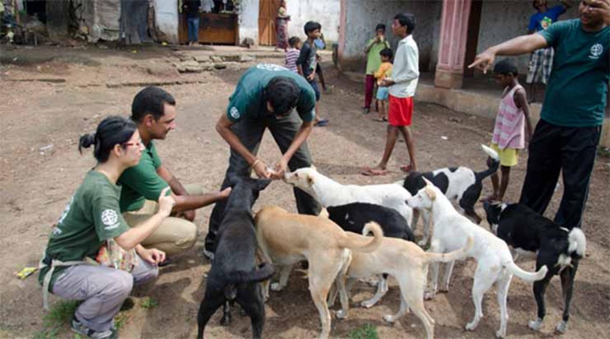 Goa students to be sensitised against cruelty to animals