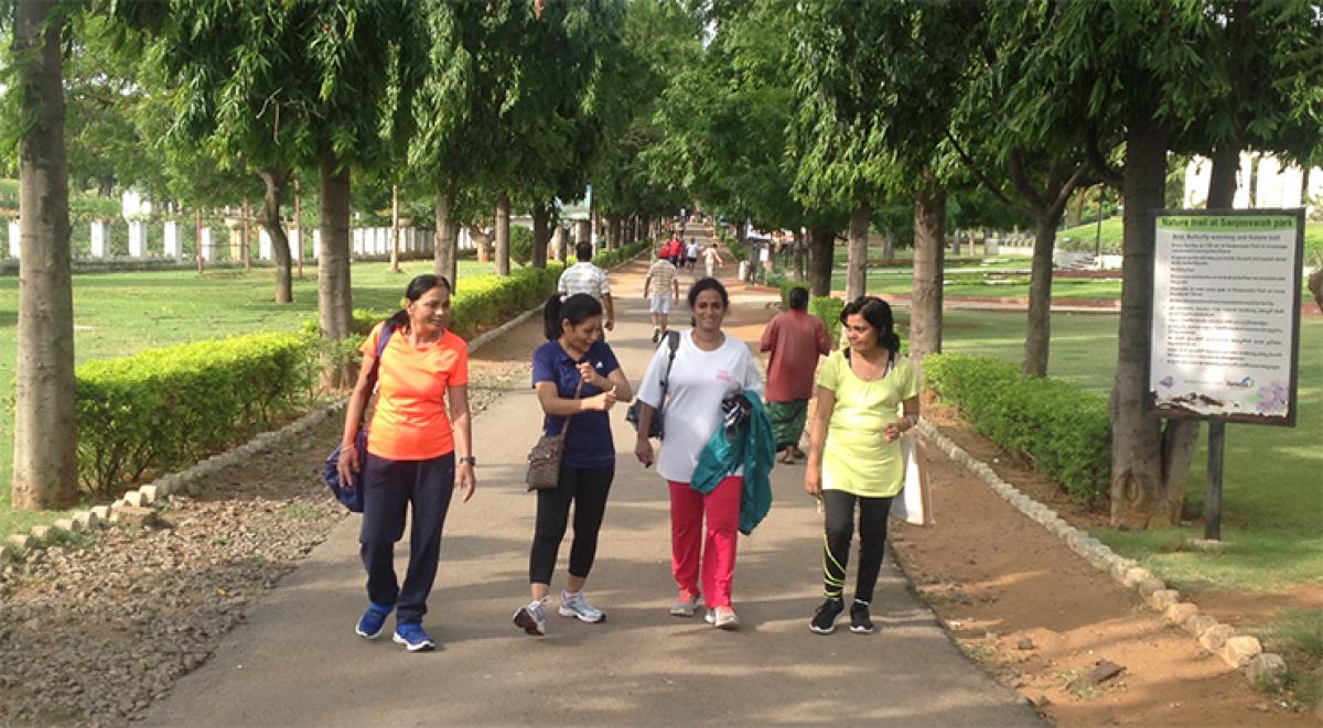 A view of &lsquo;Sanjeevaiah Park&rsquo;