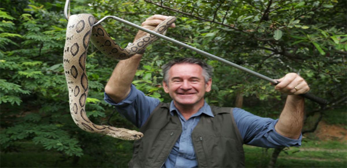 Marven with Russell's Viper