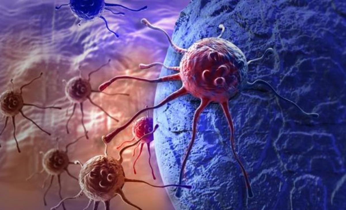 HIV Virus Detection From Cancer Drug.