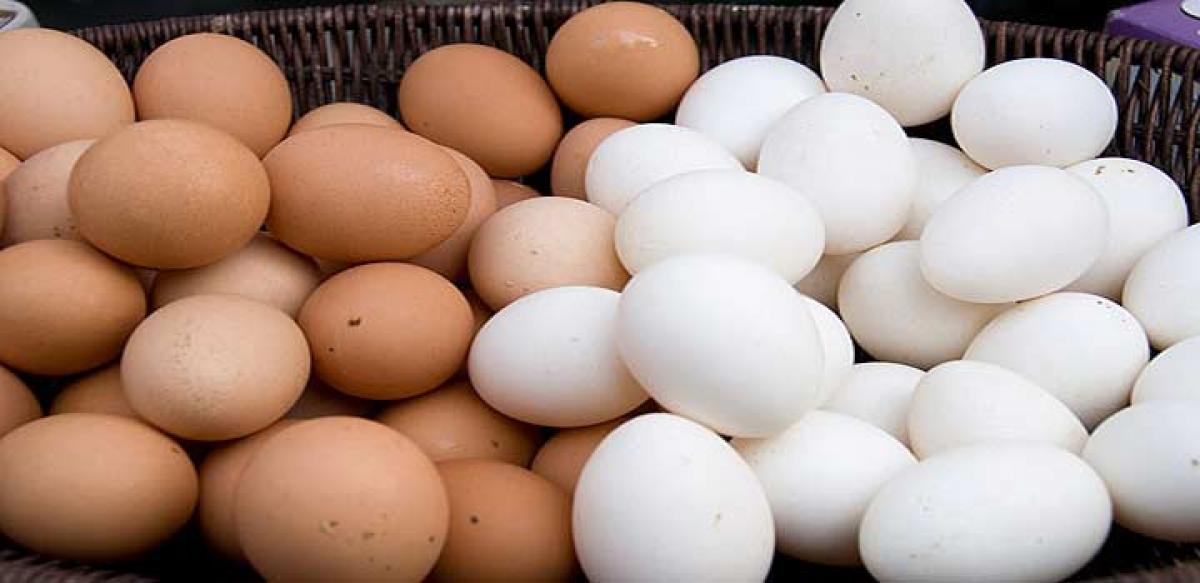 Egg yolk has numerous benefits: Principal Secy