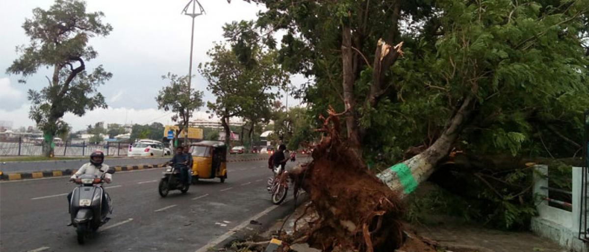 Sudden downpour brings summer respite in Hyderabad