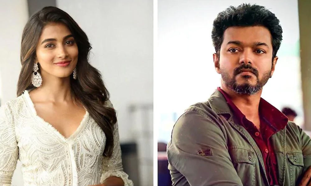 Pooja Hegde Charging More For Vijay65?