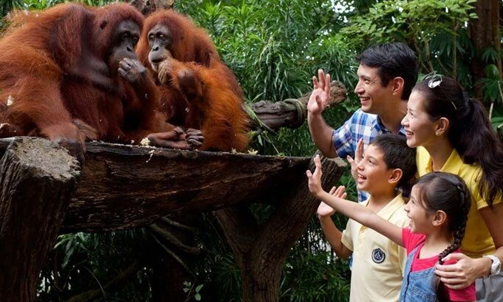 Zoo Lovers’ Day Zoo Lovers’ Day