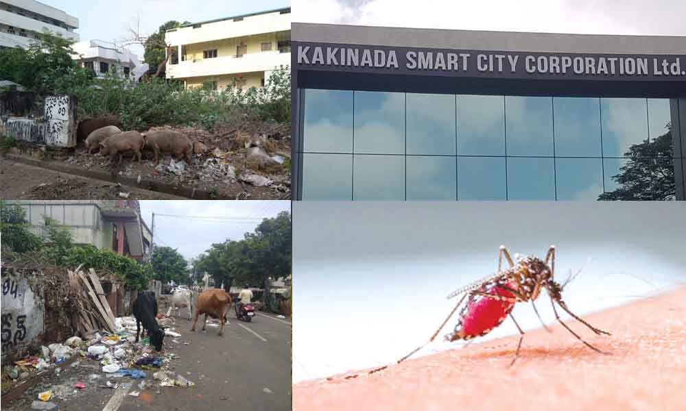 Covid sting & mosquito bite : Two-front battle in Kakinada