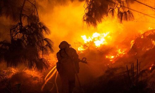 Three labourers killed in forest fire in Maharashtra